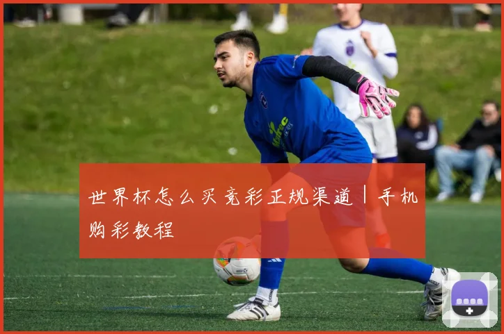 世界杯怎么买竞彩正规渠道｜手机购彩教程