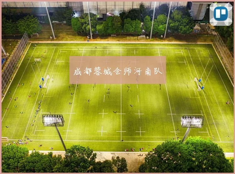 成都蓉城会师河南队