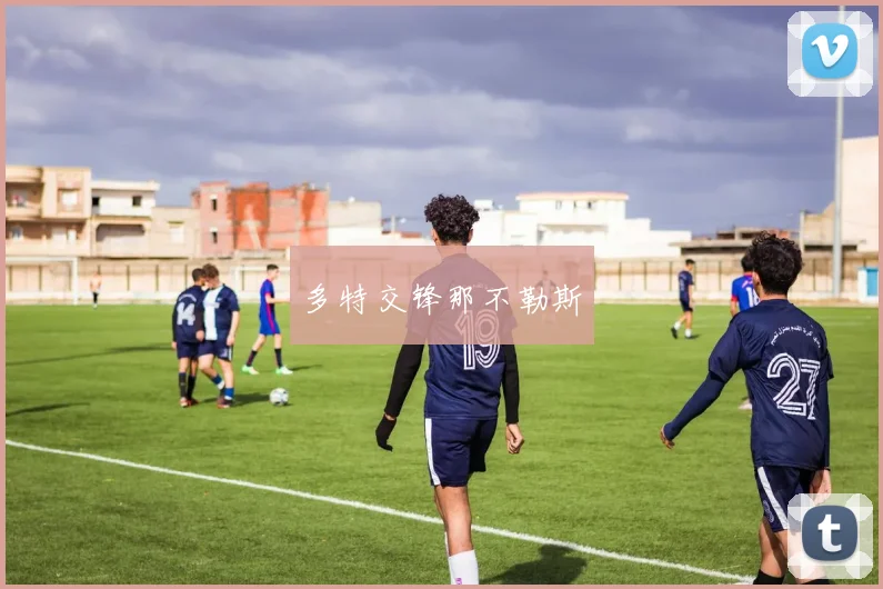 多特交锋那不勒斯