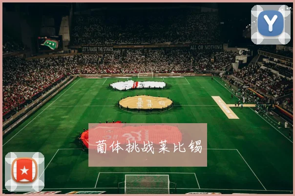 葡体挑战莱比锡