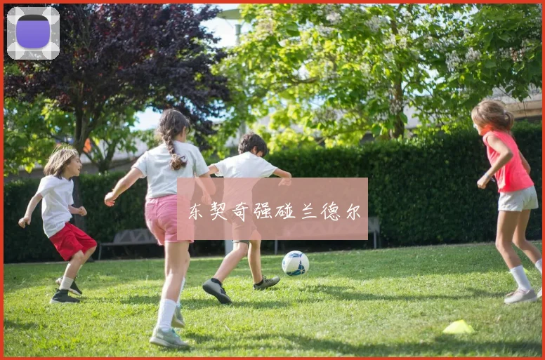 东契奇强碰兰德尔