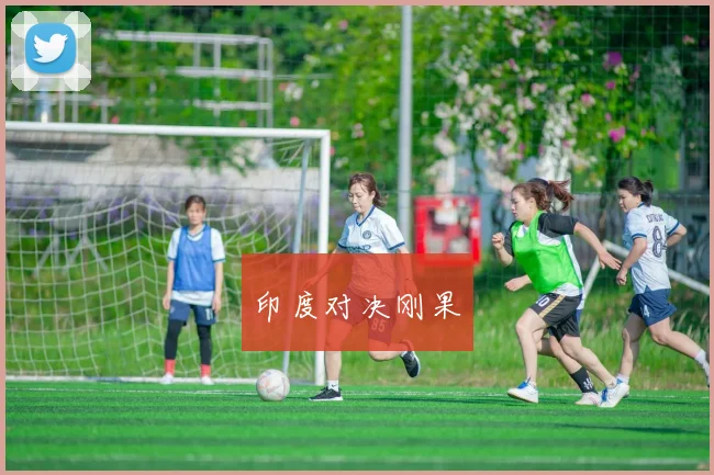 印度对决刚果